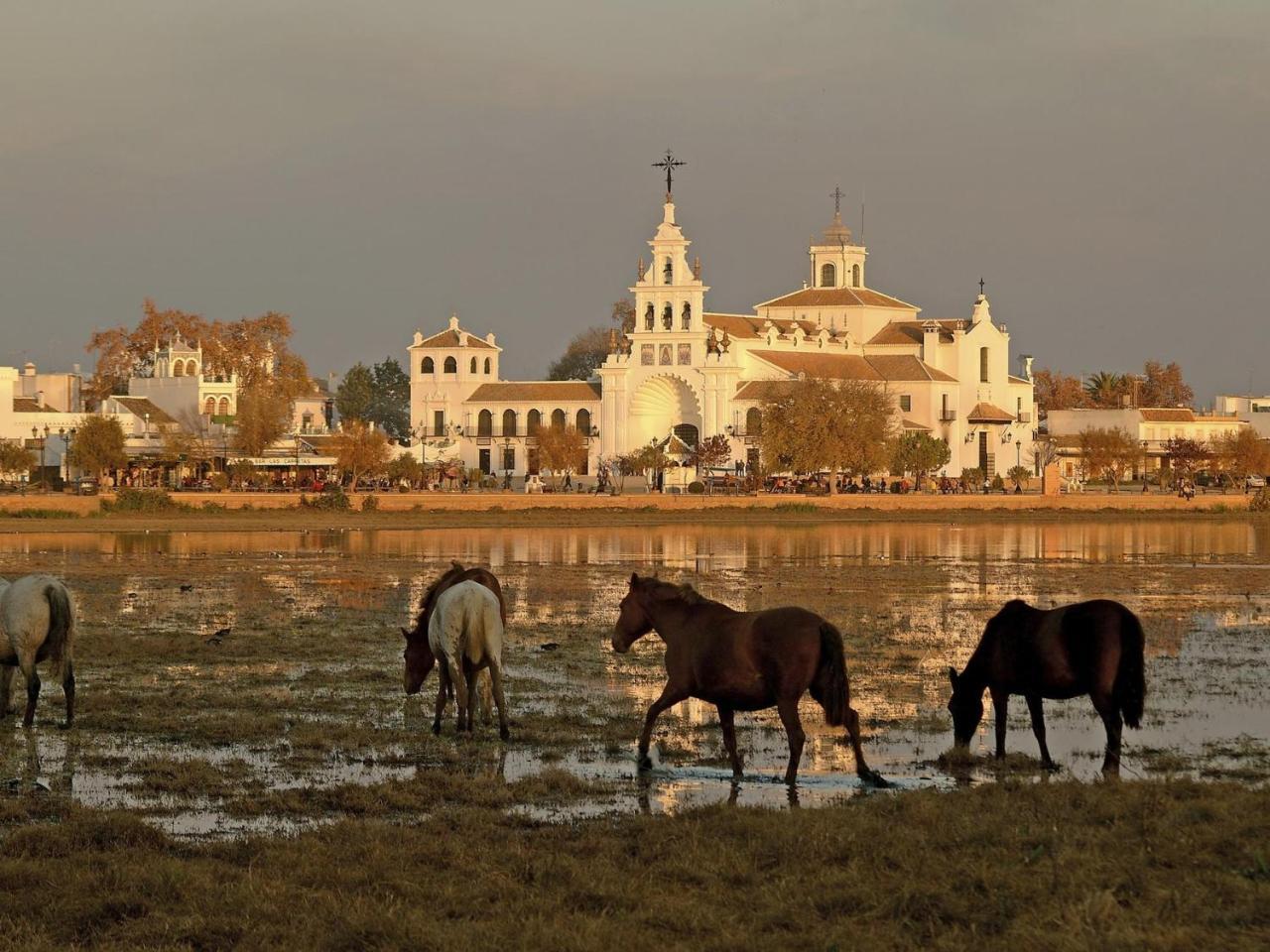 Alojamiento Rural Flamingo El Rocío Exteriér fotografie