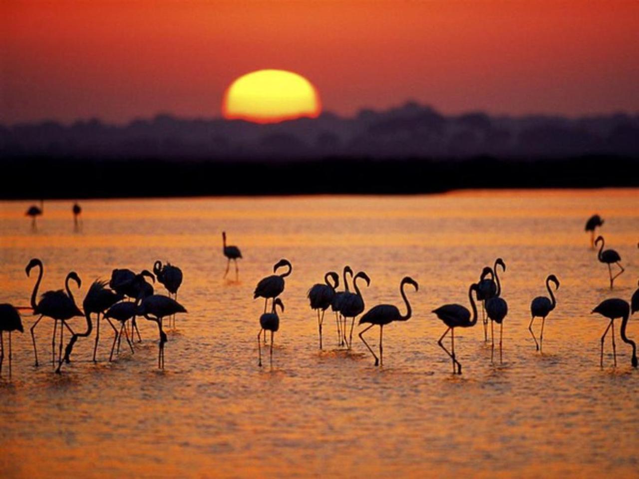 Alojamiento Rural Flamingo El Rocío Exteriér fotografie